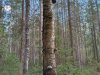 IMG_20220514_122644_HDR