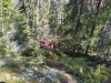 IMG_20220514_125233_HDR