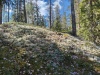IMG_20220514_125353_HDR