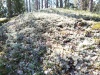 IMG_20220514_125413